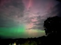 IMG_2181