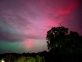 IMG_2190