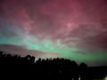 IMG_2192
