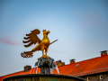 2022.08.23-0046