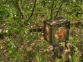 DH-2012.05.05-081_tonemapped