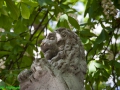 DH-2012.05.05-011