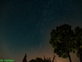2015.08.13-0001-2